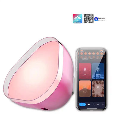 USB Pengisian Atmosphere Lampu LED RGBIC Bluetooth Disesuaikan