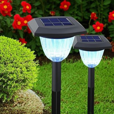 Harga yang bagus Lampu Taman Surya Bergaya Umur baterai 8-10 jam untuk taman yang indah dan fungsional on line